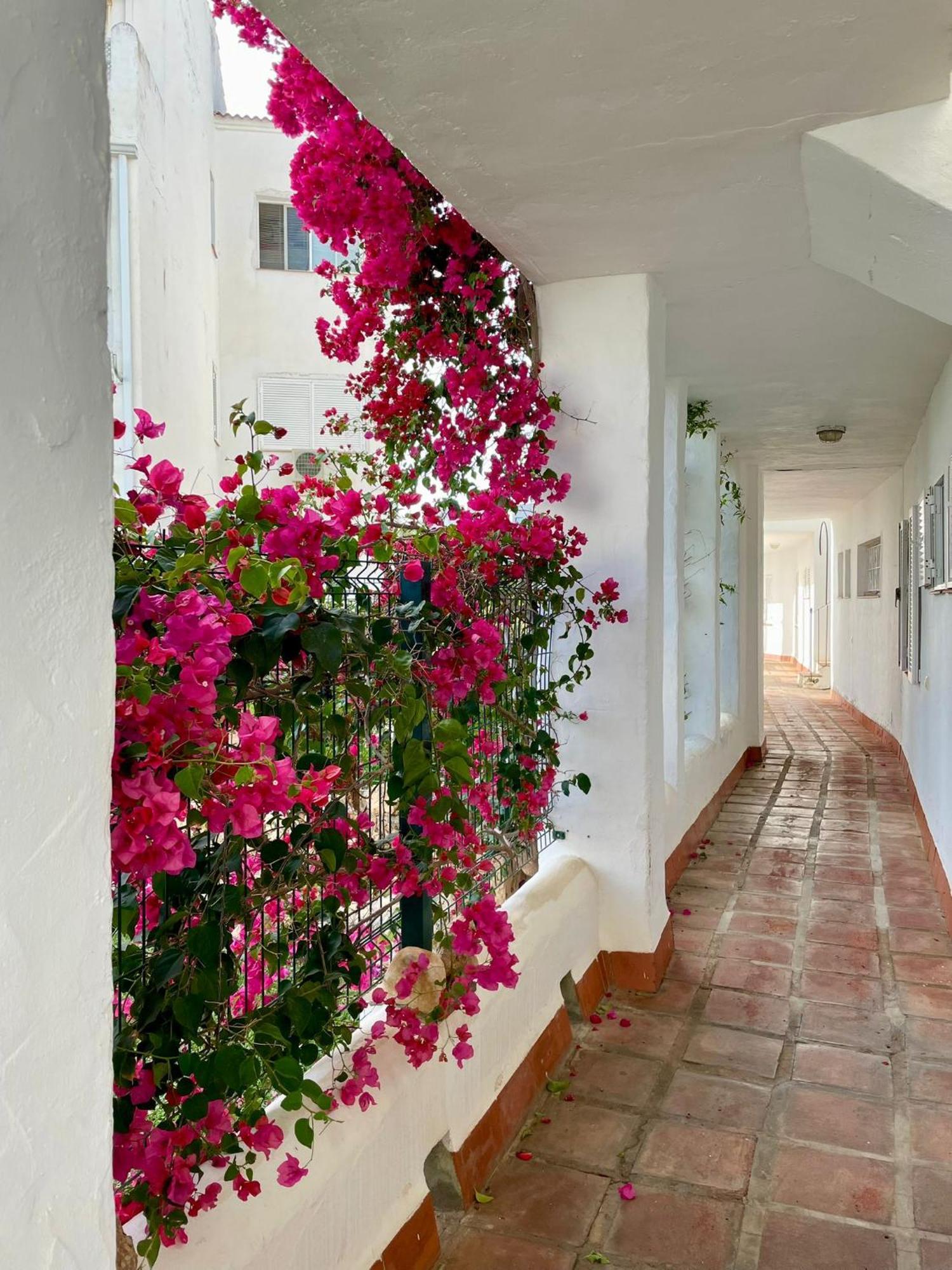 Sun Castle Apartment Fuengirola Ngoại thất bức ảnh