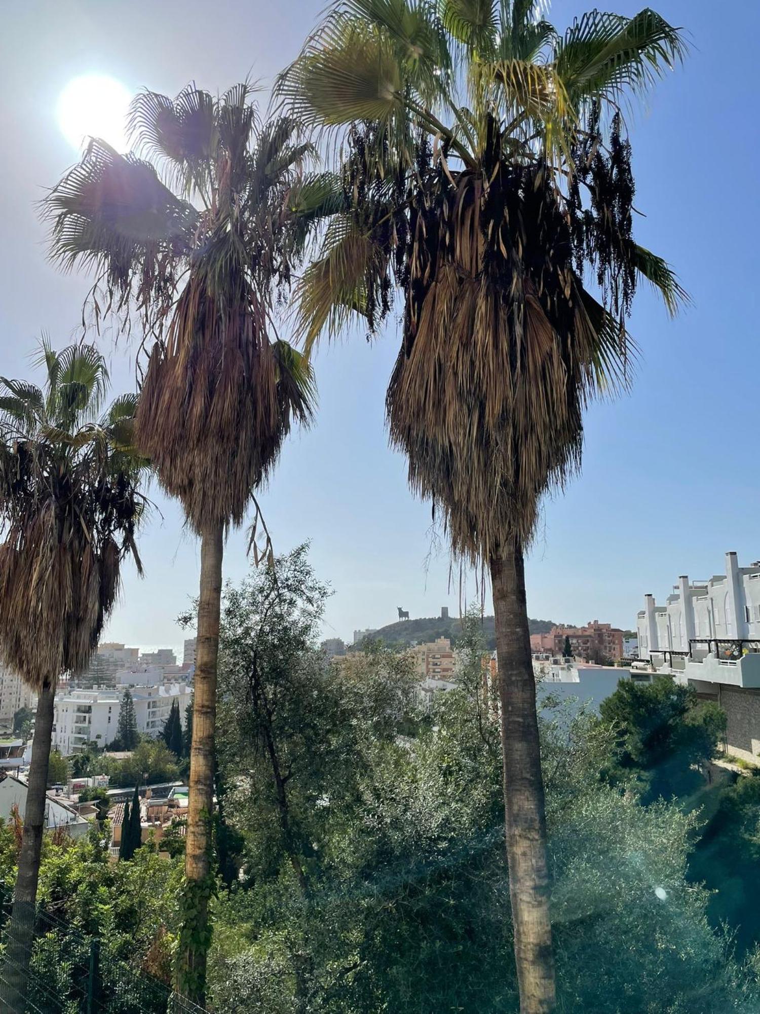 Sun Castle Apartment Fuengirola Ngoại thất bức ảnh