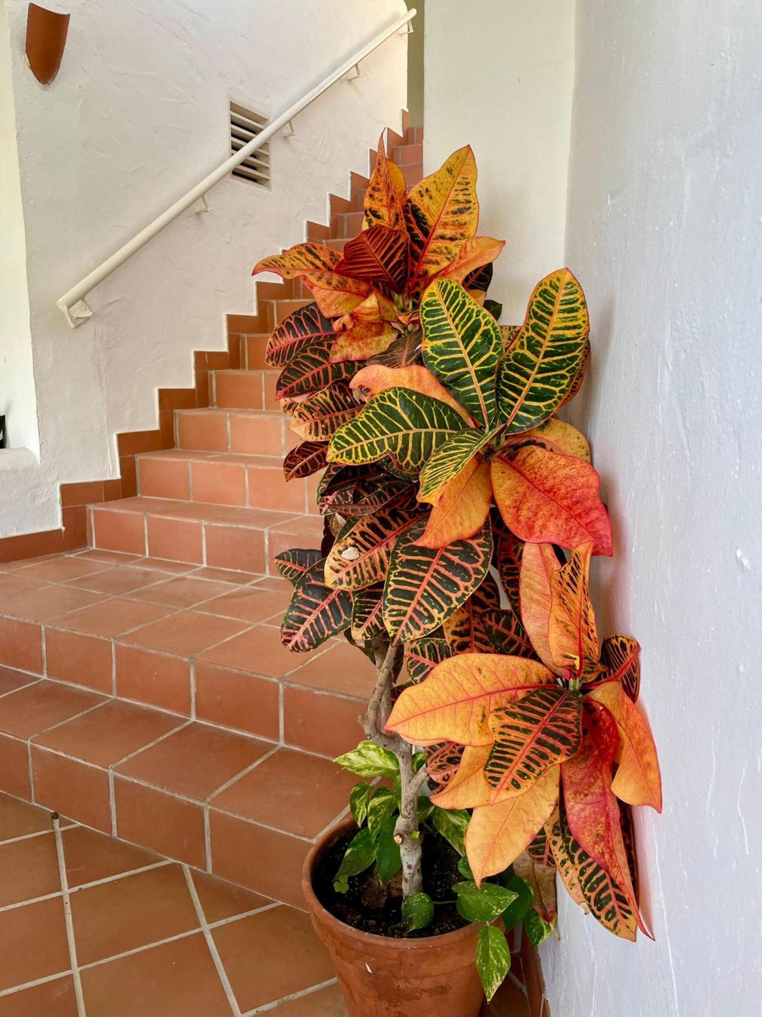Sun Castle Apartment Fuengirola Ngoại thất bức ảnh