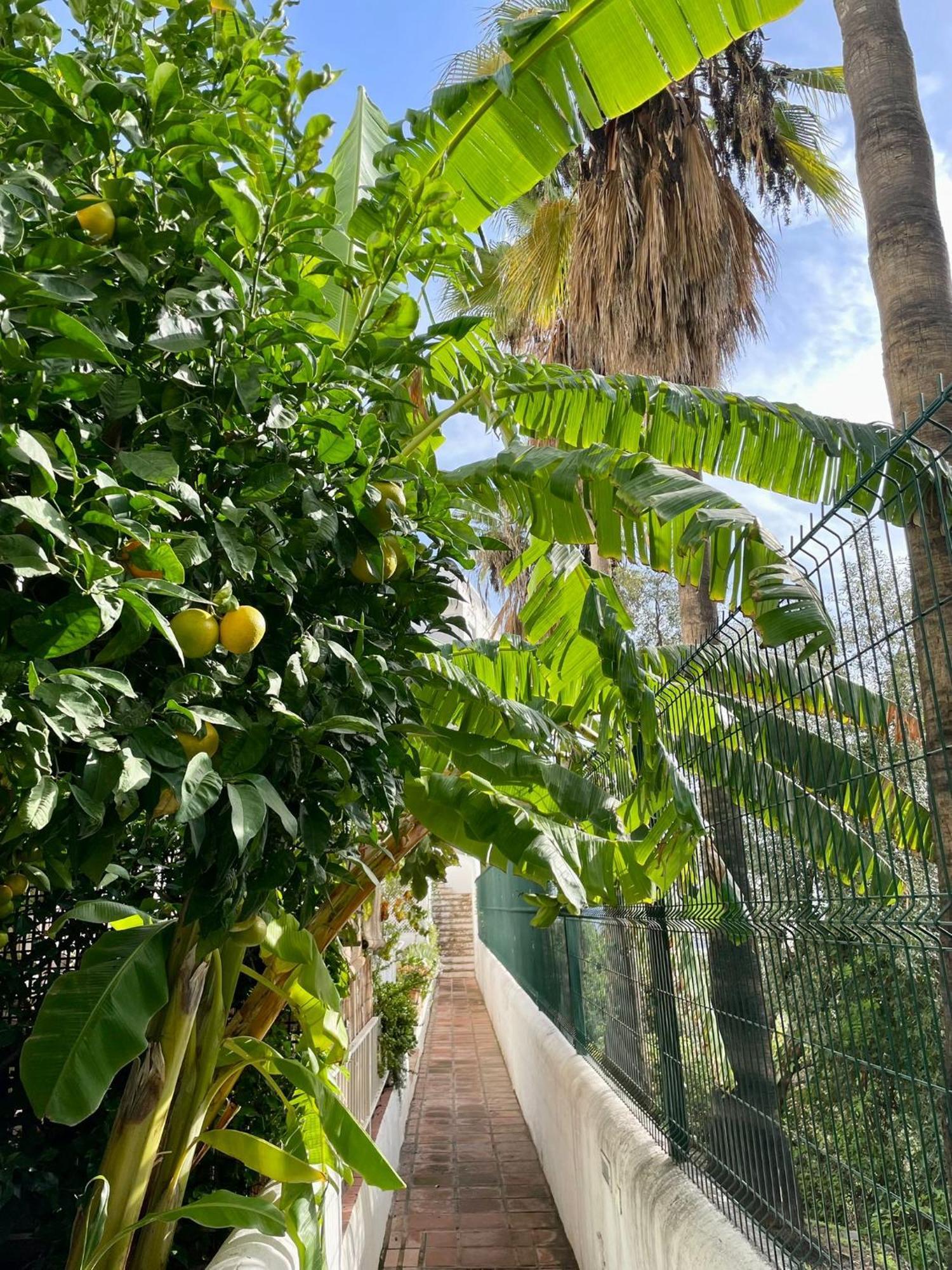 Sun Castle Apartment Fuengirola Ngoại thất bức ảnh