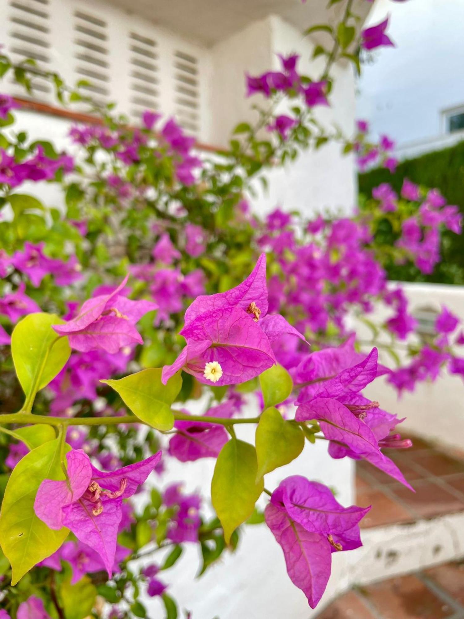 Sun Castle Apartment Fuengirola Ngoại thất bức ảnh